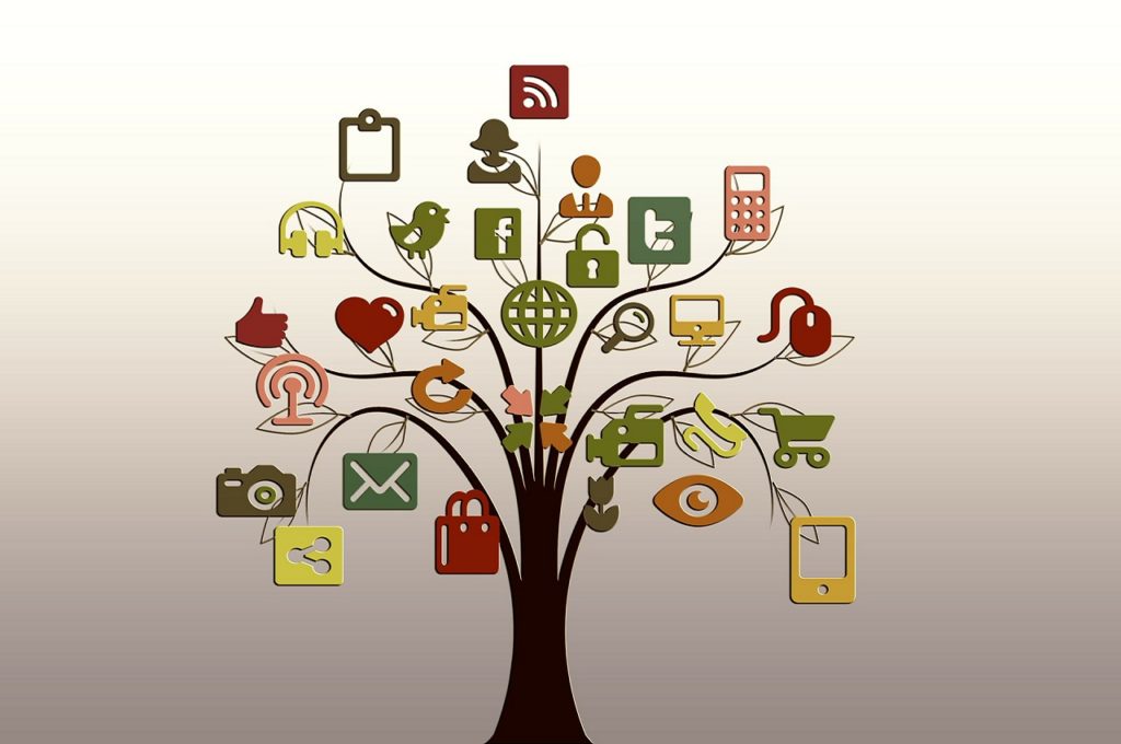 social media video ads